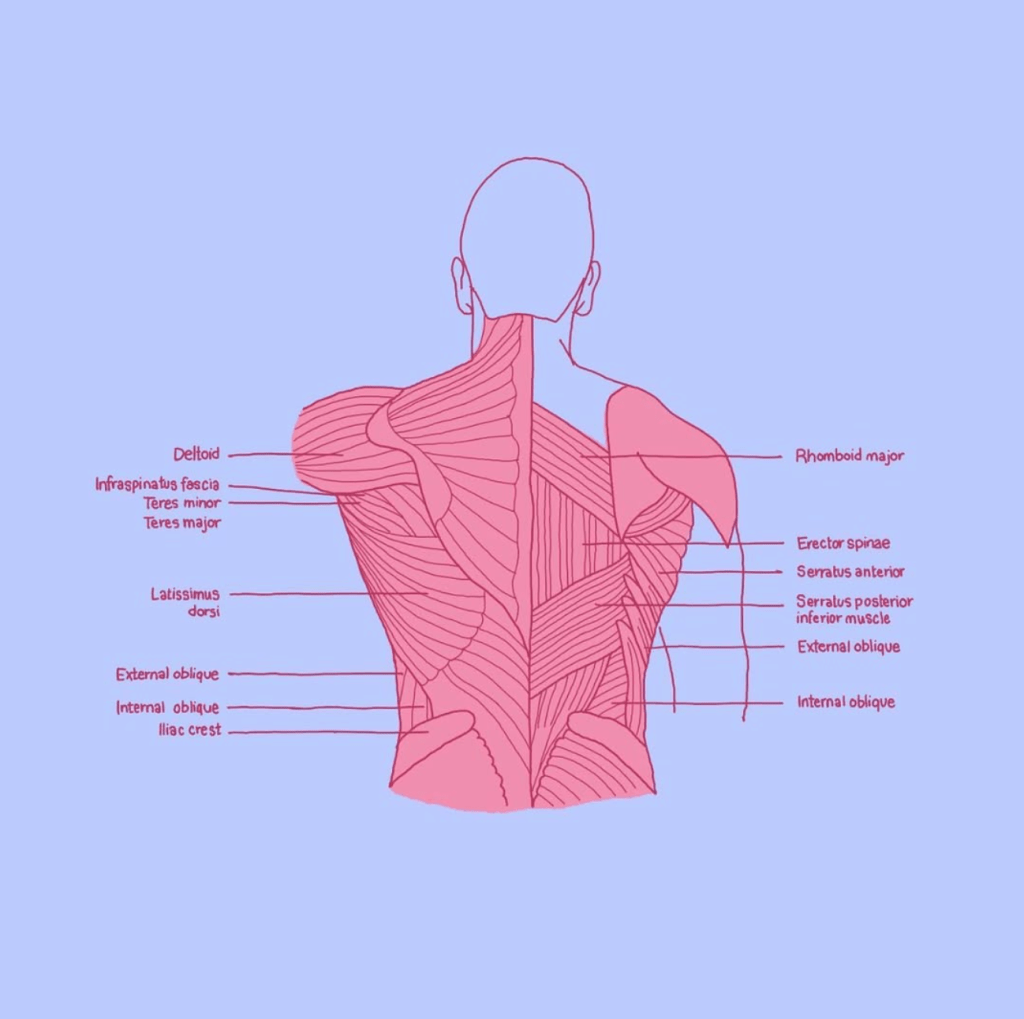 Boost Your Athletic Performance with&nbsp;Acupuncture